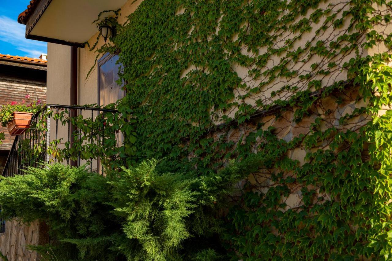 Menada Sunny Hill Villa Kosharitsa Exteriér fotografie
